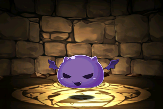Pet595