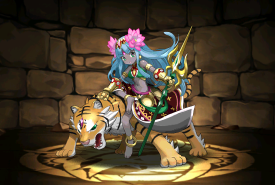 Pet240