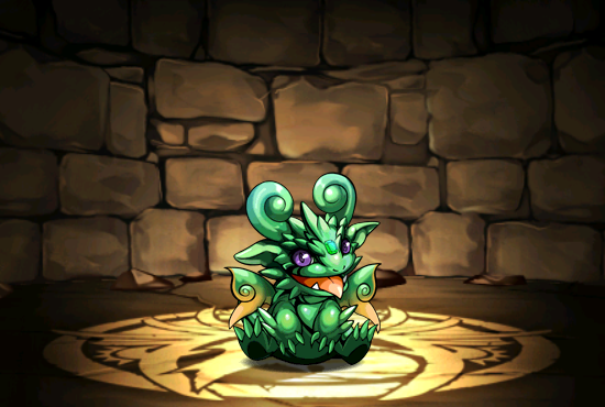 Pet259