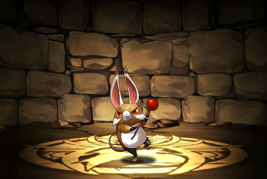 Pet815