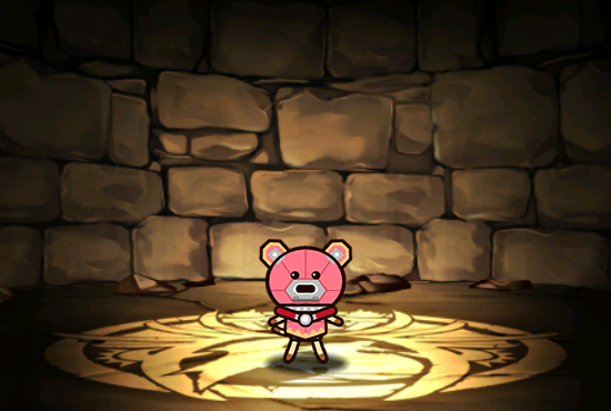 Pet864