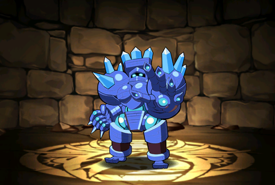 Pet081