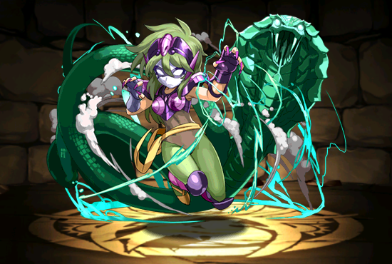 Pet1719