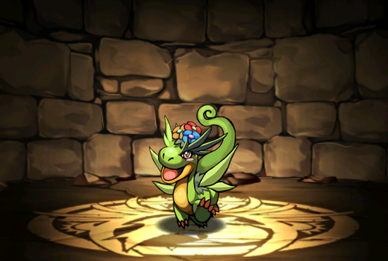 Pet010