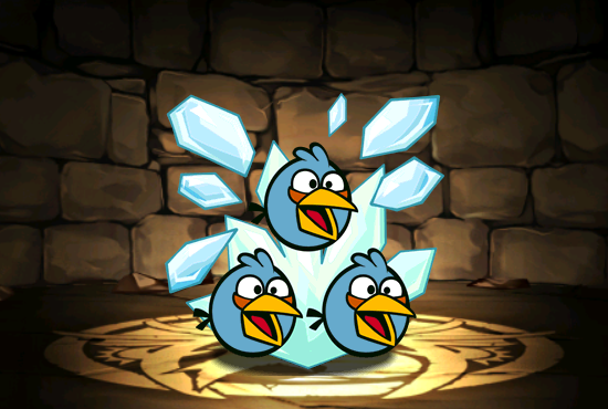 Pet951