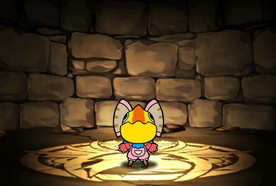 Pet1605