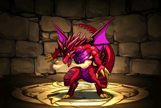 Pet023