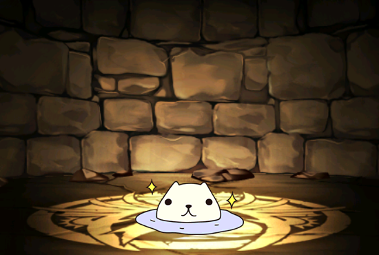 Pet609
