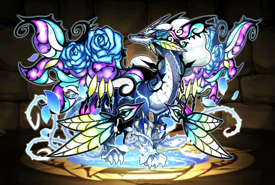 Pet1602