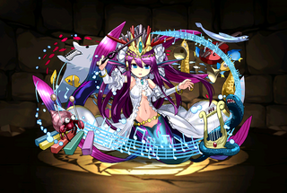 Pet1100