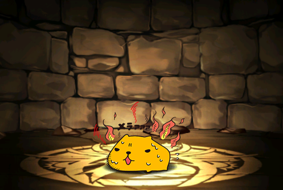 Pet608
