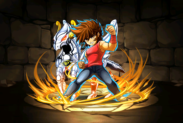 Pet1426