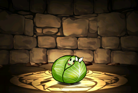 Pet435