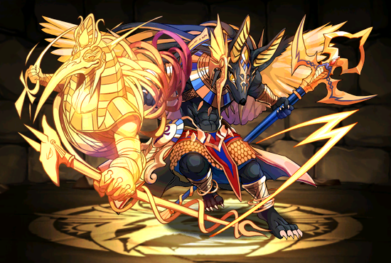 Pet1001