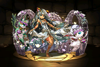 Pet2952