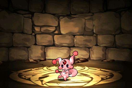 Pet046