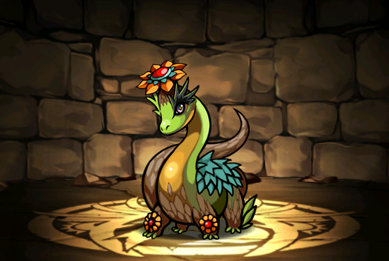 Pet011