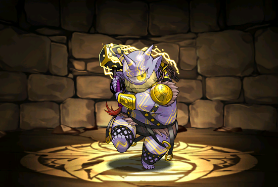 Pet794