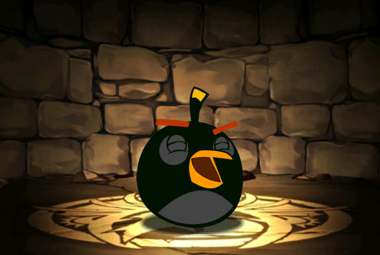 Pet958
