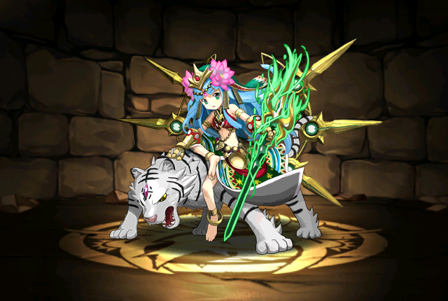 Pet241