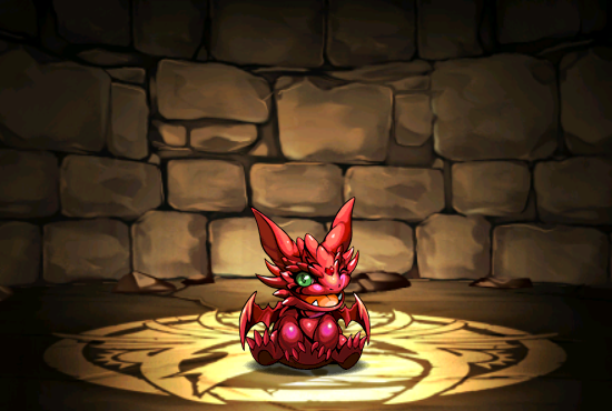 Pet252