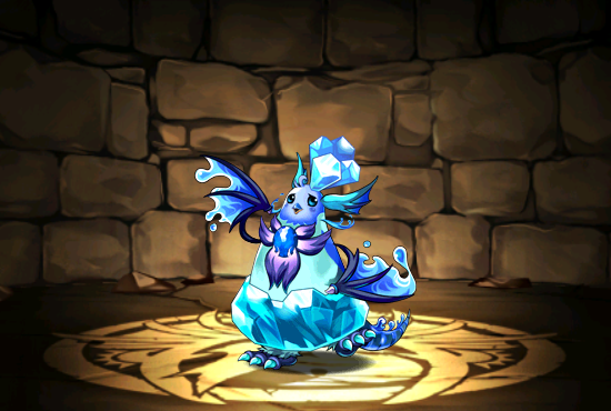Pet306