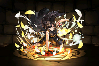 Pet3299