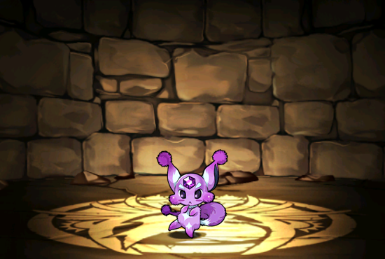 Pet054
