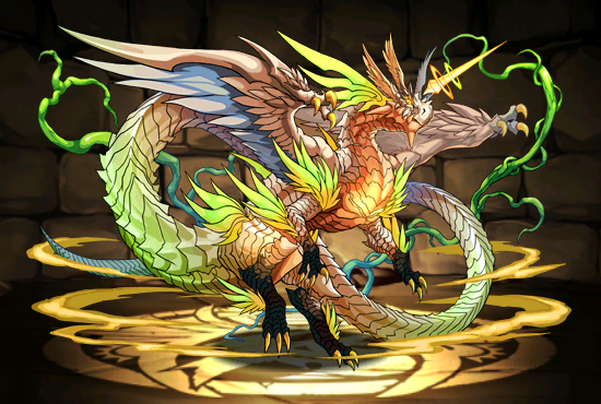 Pet775