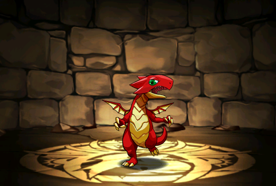 Pet021