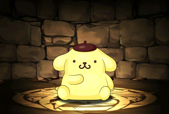 Pet1162