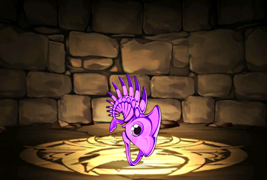 Pet1063
