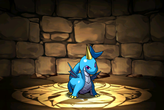 Pet024