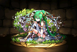 Pet2237