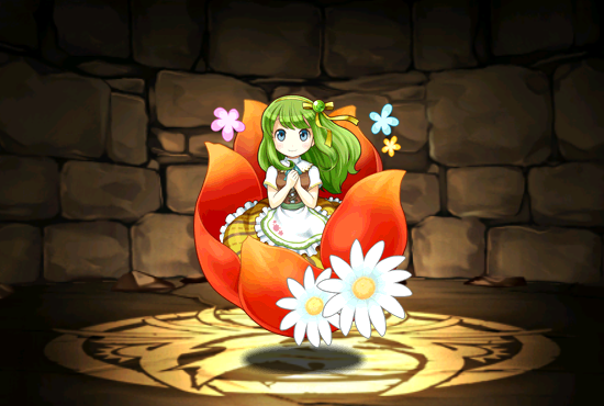 Pet1416