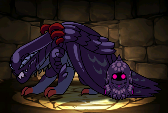 Pet1608