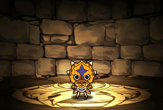 Pet1611