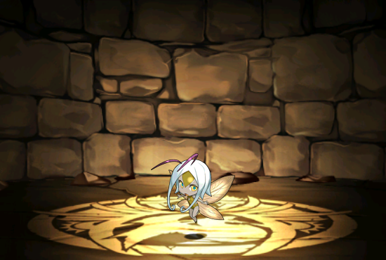 Pet585