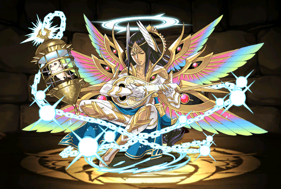 Pet1119