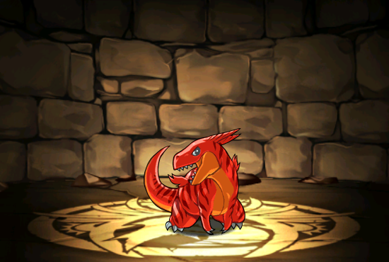 Pet002