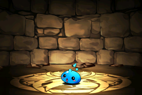 Pet038