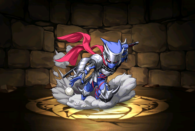 Pet563