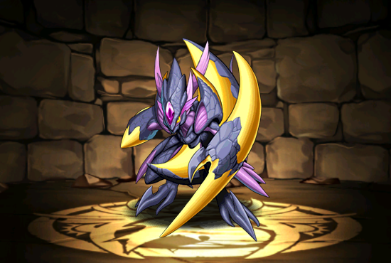 Pet020