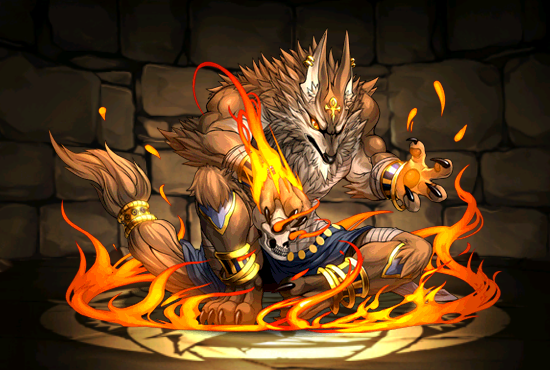 Pet1659