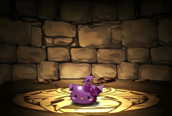 Pet1144