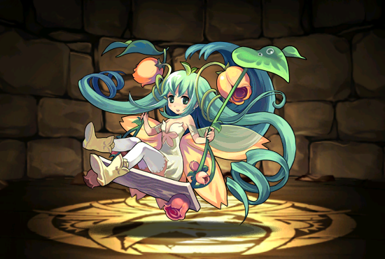 Pet203