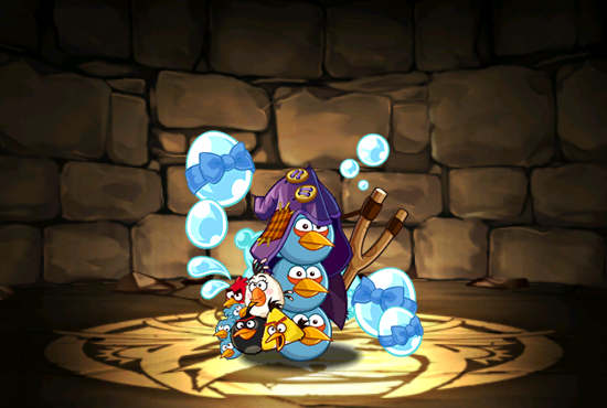 Pet1635