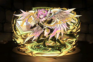 Pet3534
