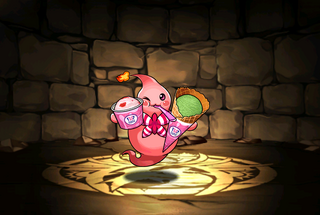 Pet937