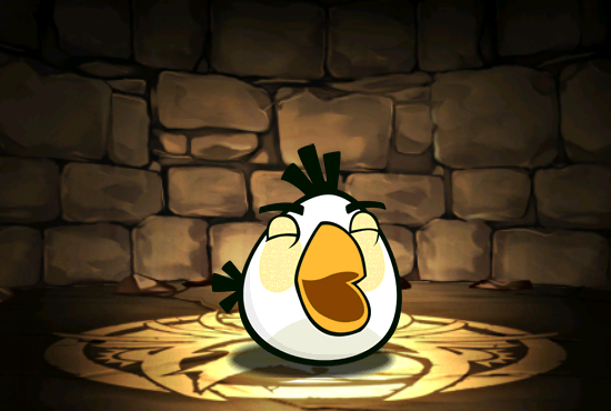 Pet956
